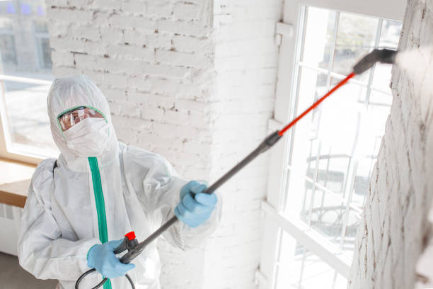 Best Residential Mold Inspection & Testing  in Wellsville, MO