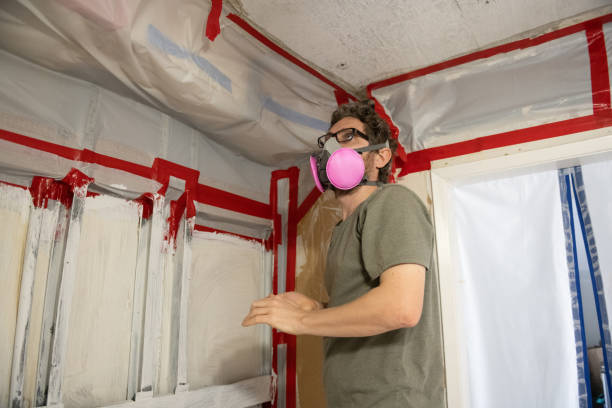 Best Post-Remediation Verification Testing  in Wellsville, MO