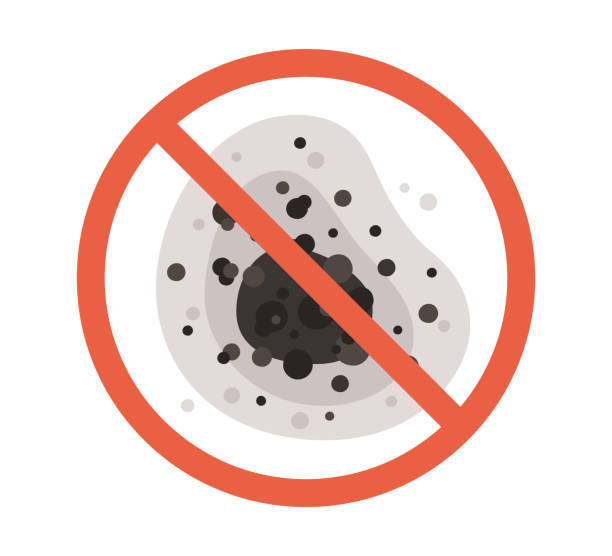 Dehumidification Services in Wellsville, MO
