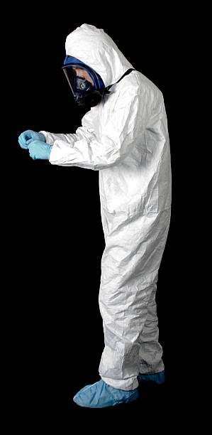 Best Black Mold Removal  in Wellsville, MO